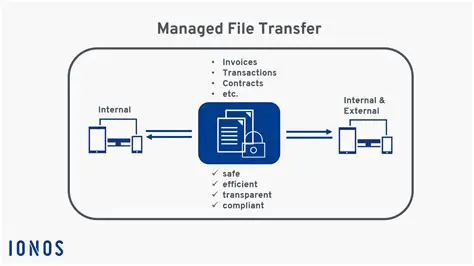 File Transfer and Management