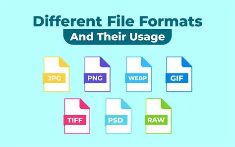 File Types and Compatibility