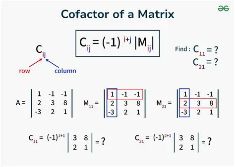 Find the matrix of cofactors