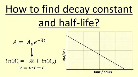 Finding the Decay Constant