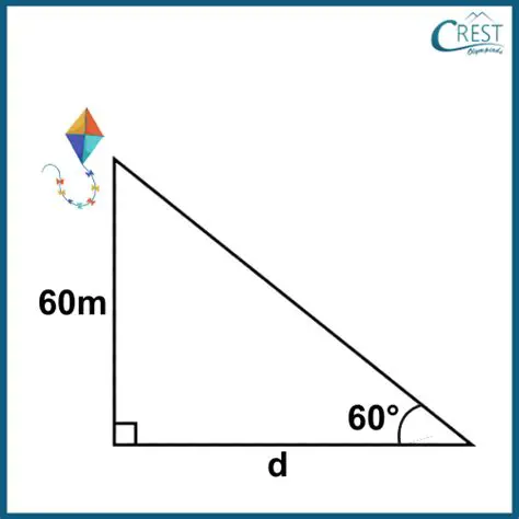 Finding the Height of the Kite