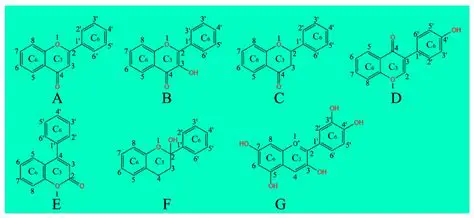 Flavonoid Analysis in Sea Kedondong Plants