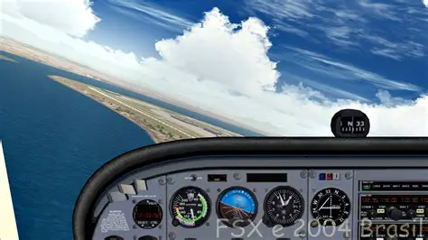 Flight Simulator X or FS2004