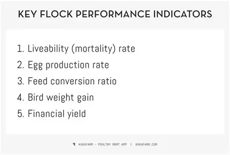 Flock Performance Analysis