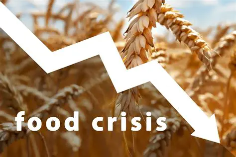 Food shortages and economic hardship