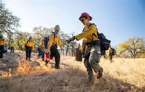 Forest Hill Fire: Community Resilience and Recovery Efforts