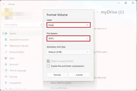 Formatting the SSD Unit on Windows