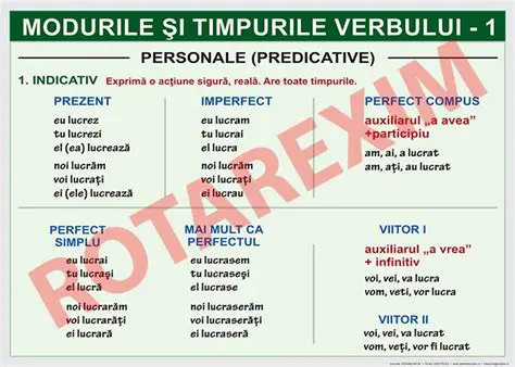 Formele Verbale ale Predicatelor