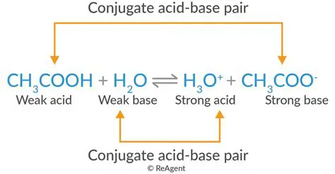 Formula of the Conjugate Acid