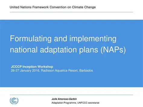 Formulating and implementing national policies