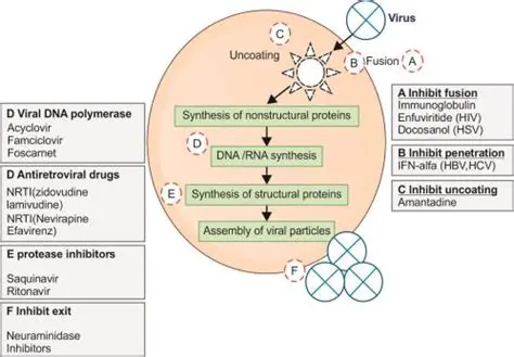 Unraveling Foscarnet: A Deep Dive into its Mechanism of Action and Antiviral Efficacy