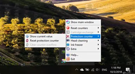 Freeze internal ink counters