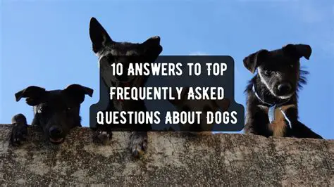 Frequently Asked Questions About Dogs