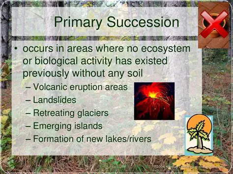 Frequently Asked Questions About Ecological Succession After a Volcanic Eruption