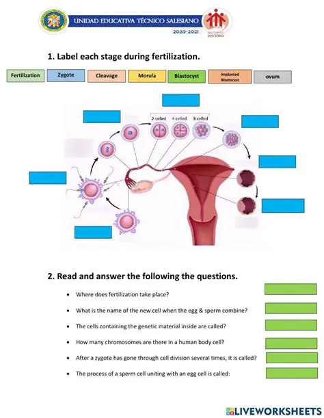 Frequently Asked Questions About Fertilization