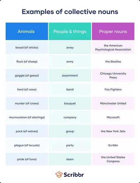 Frequently Asked Questions About Nouns