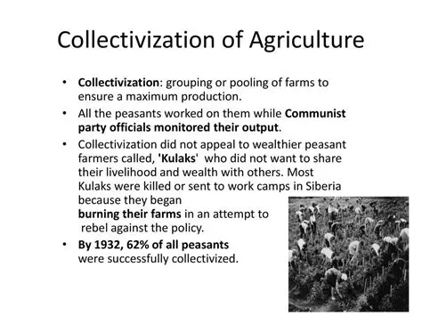 Frequently Asked Questions about the Collectivization of Agriculture in China
