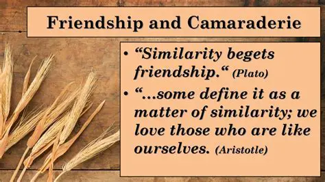Friendship and camaraderie