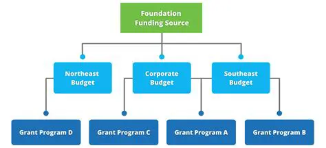 Funding or resource constraints