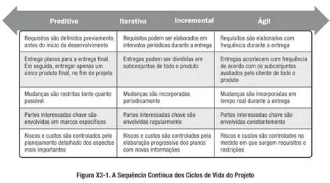 Garantir que a equipe esteja trabalhando de forma eficaz