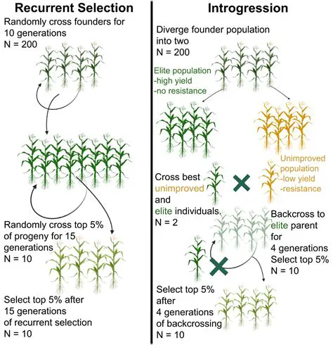 Gene Identification and Selection