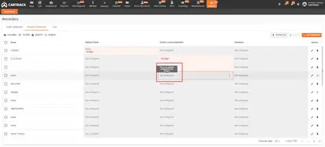 Generate a Driver Overview PDF