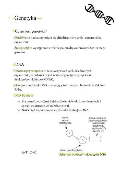 Genetyka i Biologia Molekularna