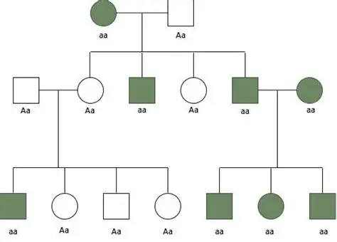 Genotype for a Recessive Trait on the Female Chromosome