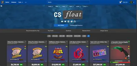 Getting started on My CS Casino