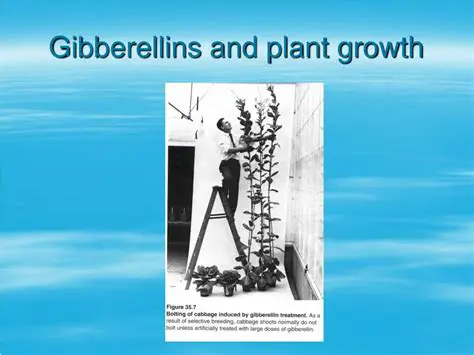 Gibberellins and plant growth