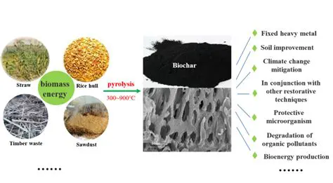 Giving Biochar from Several Raw Materials to Reduce the Pollution of Heavy Metals CD in the Soil