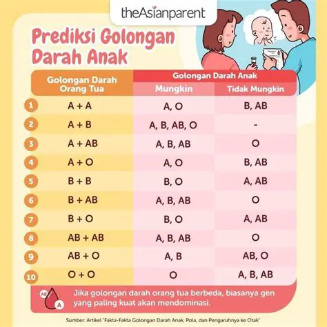 Golongan Darah Anak Pasutri Ani dan Ino