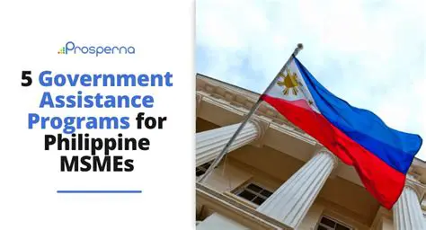 Government Assistance to MSMEs in Kotasan Village