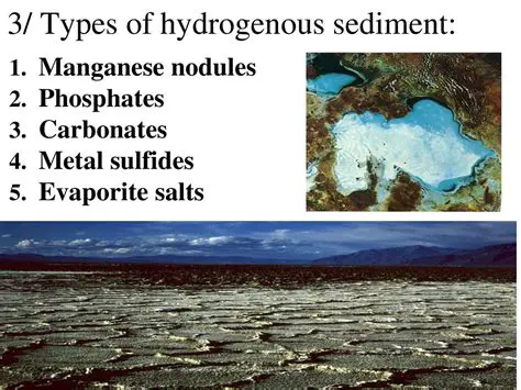 Granite and Hydrogenous Sediments