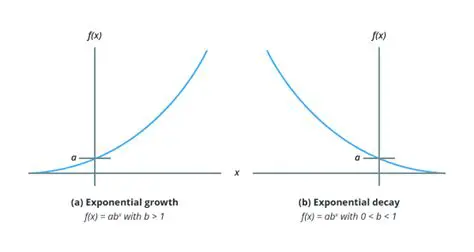 Growth and Decay in Exponential Equations