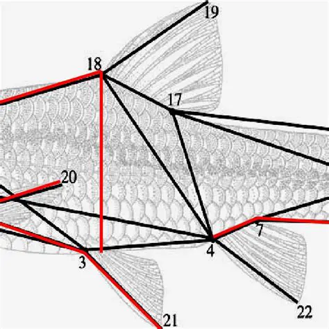 Growth Patterns of Bilih Fish
