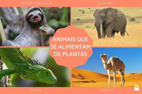 Habitat para plantas e animais