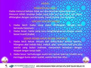 Hadas yang tidak dapat dibersihkan