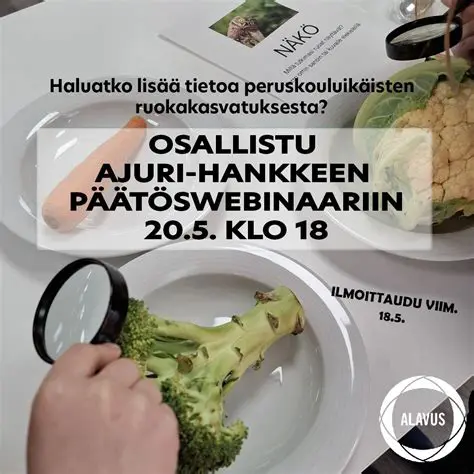 Haluatko Miljonääriksi? Kaikki Mitä Sinun Tarvitsee Tietää Suomen Suosituimmasta Visailusta