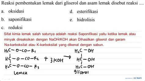 Hasil Reaksi Antara Lemak dan Basa Kuat