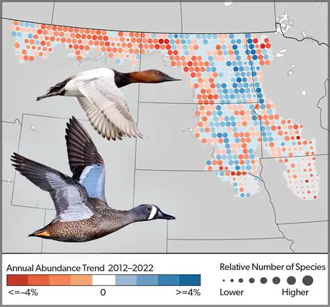 Hawk Species and Population Trends