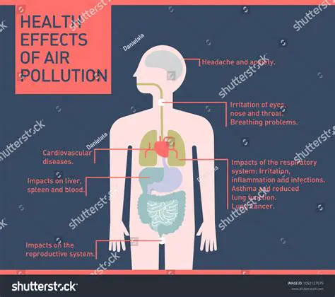 Health Effects of Particulate Air Contaminants