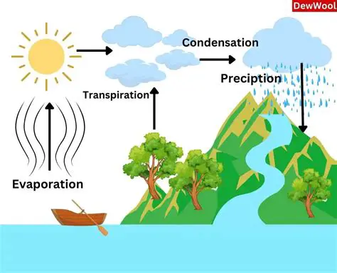 Heat Absorption and the Water Cycle