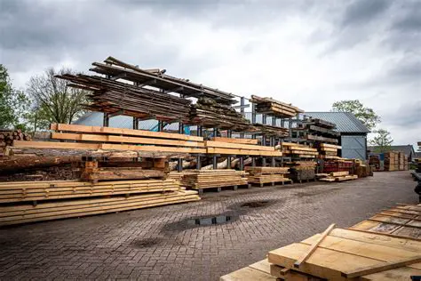 Het Onopgeloste Raadsel: Een Diepgaande Blik op de Onno Kuut Opsporing