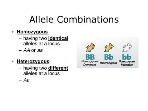 Heterozygous Females and Allele Combinations