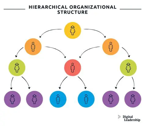 Hierarchical Structure Design