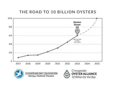 Historic Oyster Population Size