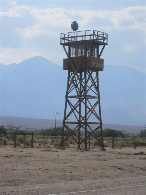 Historical Context of Watchtowers