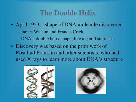 History of the Double Helix Discovery