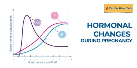 Hormonal Changes During Pregnancy